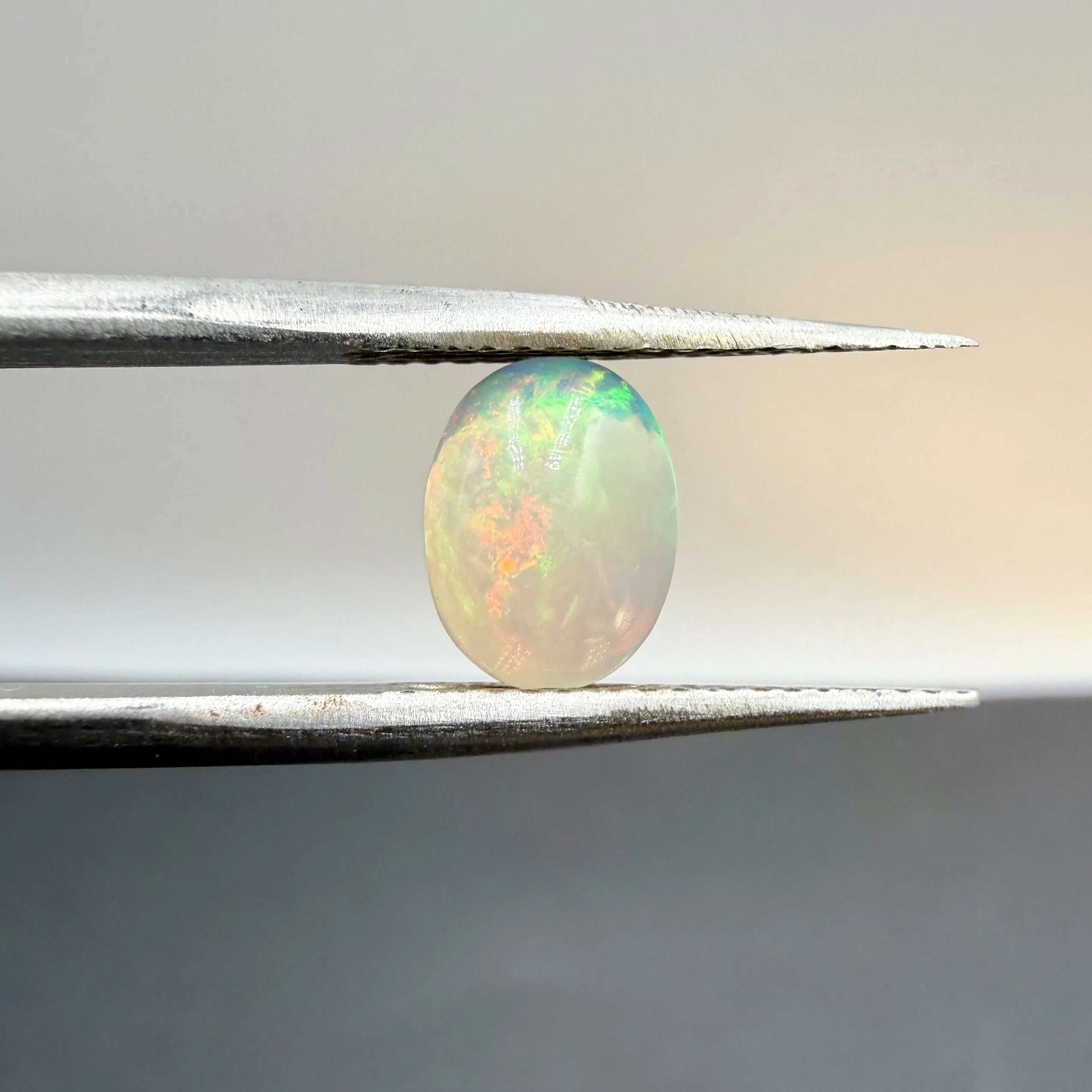 Opal (1)